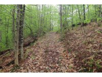 1191 Curtis Hollow Road