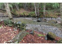 1191 Curtis Hollow Road