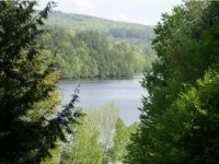 81 Campground