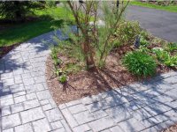 8 Robinwood Lane