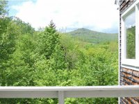 933 Stevens Road