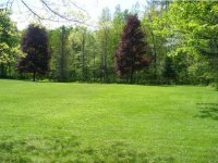 2416 Cox District Road
