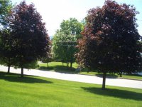 30 Moon Brook Drive