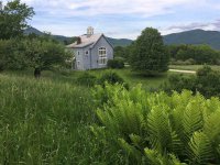 89 Mountain Spring