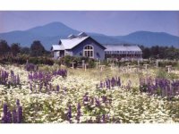 89 Mountain Spring