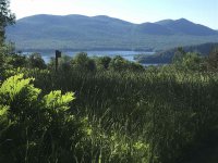 89 Mountain Spring