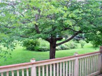 231 Flory Heights