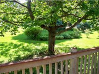 231 Flory Heights