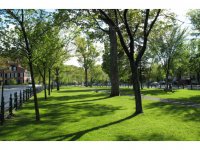 1 Highland Ave Extension