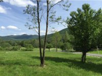 203 King Farm