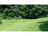 328 Blue Ridge Drive