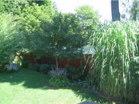 21 Jackson Avenue