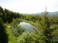 1074 North Hollow