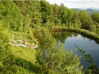 1074 North Hollow