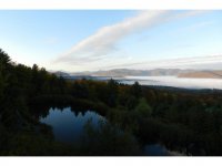 1074 North Hollow