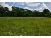 1509 Old River