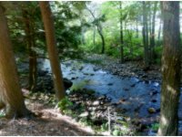 42 Roaring Brook Road