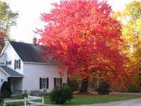 1771 Townline Road