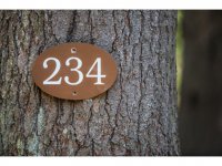 234 Hawk Mountain Road