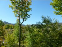 794 East Mountain Road Fall Line