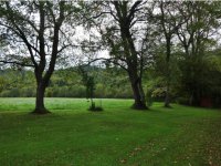 1393 Brandon Mountain Road