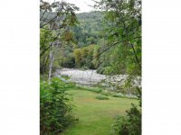 1393 Brandon Mountain Road
