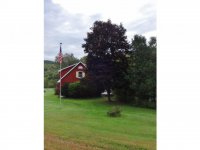 1393 Brandon Mountain Road