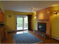 1393 Brandon Mountain Road