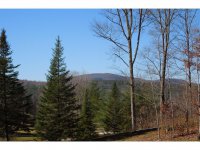252 Grand Ledge Estates