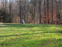 252 Grand Ledge Estates