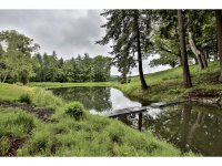 1321 Old River