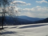 1321 Old River