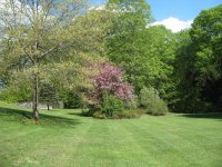 285 English Mills Way