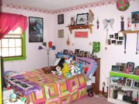 272 Dorr Drive None (RC)