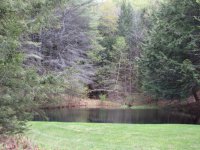 4445 South Road
