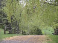 4445 South Road