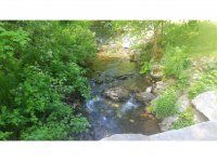 2908 Route 100 A None