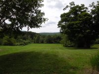 559 Woodward Road
