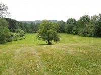 559 Woodward Road