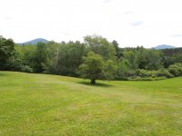 559 Woodward Road