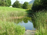 10 Lazy Acres