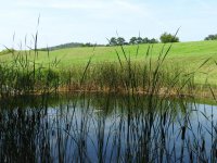 10 Lazy Acres