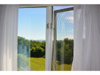 291 Stone Hollow