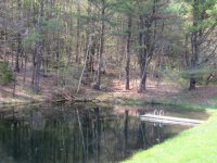 938 South Road