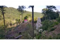 3283 River