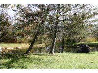 4 Barleyfield