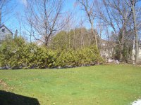 90 Lincoln Avenue