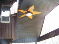72 Meadow Hawk