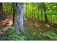 3918 Densmore Hill