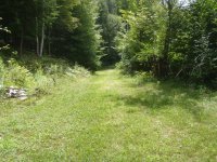 3918 Densmore Hill